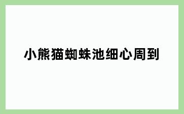 小熊猫蜘蛛池细心周到
