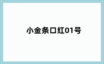 小金条口红01号