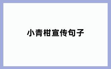 小青柑宣传句子