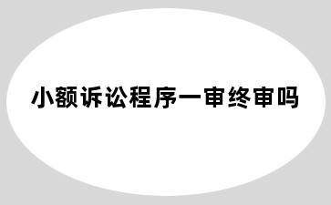 小额诉讼程序一审终审吗