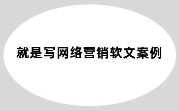 就是写网络营销软文案例