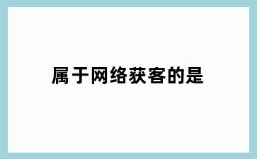 属于网络获客的是
