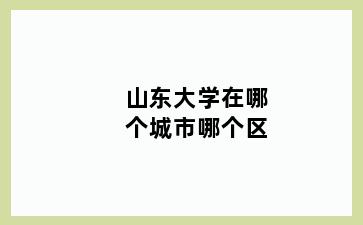 山东大学在哪个城市哪个区