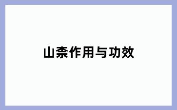 山柰作用与功效