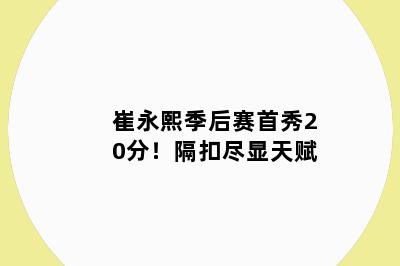 崔永熙季后赛首秀20分！隔扣尽显天赋