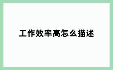 工作效率高怎么描述