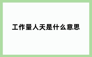 工作量人天是什么意思