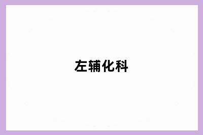 左辅化科
