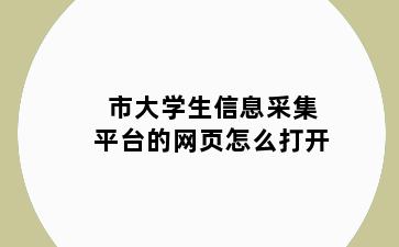 市大学生信息采集平台的网页怎么打开