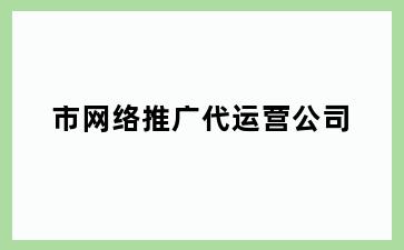 市网络推广代运营公司