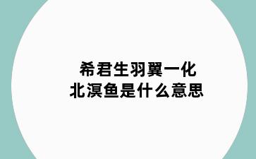 希君生羽翼一化北溟鱼是什么意思