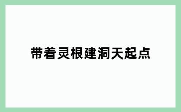 带着灵根建洞天起点