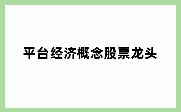 平台经济概念股票龙头
