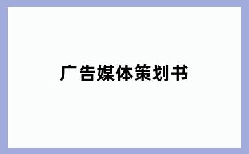 广告媒体策划书