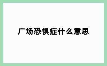 广场恐惧症什么意思