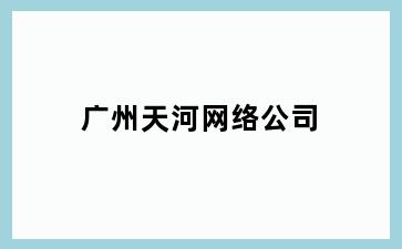 天河网络公司