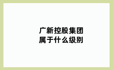 广新控股集团属于什么级别