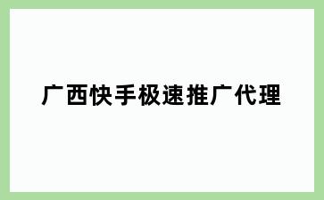 快手极速推广代理