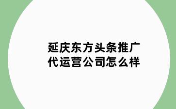 延庆东方头条推广代运营公司怎么样