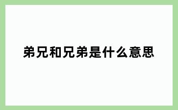 弟兄和兄弟是什么意思