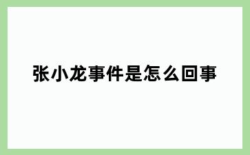张小龙事件是怎么回事