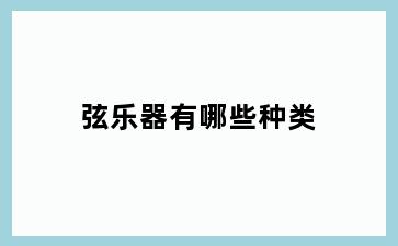 弦乐器有哪些种类