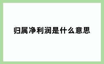 归属净利润是什么意思