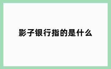 影子银行指的是什么