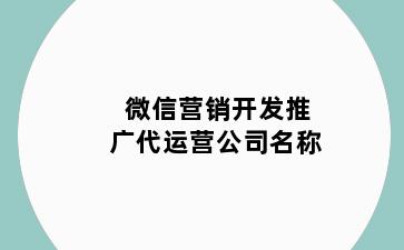 微信营销开发推广代运营公司名称