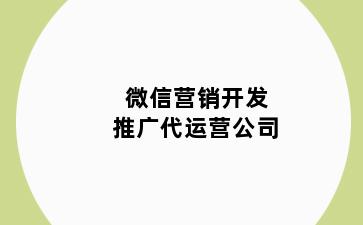 微信营销开发推广代运营公司