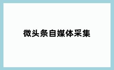 微头条自媒体采集