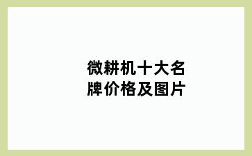 微耕机十大名牌价格及图片
