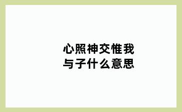 心照神交惟我与子什么意思