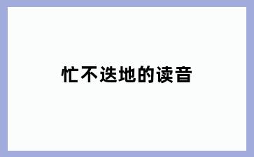 忙不迭地的读音