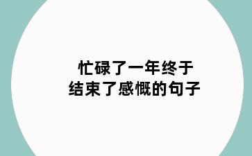 忙碌了一年终于结束了感慨的句子