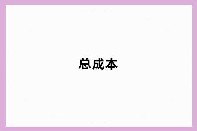 总成本