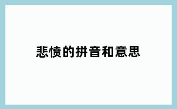 悲愤的拼音和意思