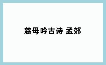 慈母吟古诗 孟郊