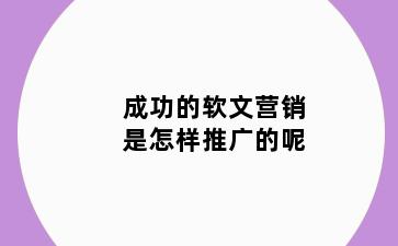 成功的软文营销是怎样推广的呢