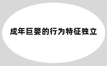 成年巨婴的行为特征独立