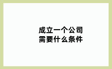 成立一个公司需要什么条件