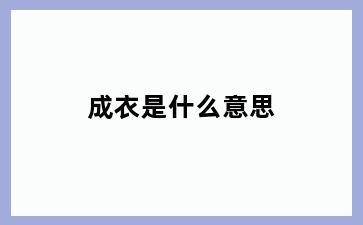 成衣是什么意思