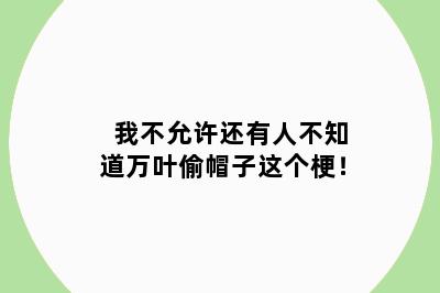 我不允许还有人不知道万叶偷帽子这个梗！