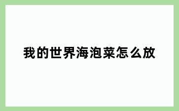 我的世界海泡菜怎么放