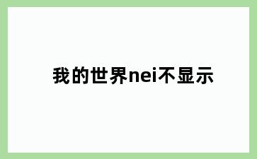 我的世界nei不显示