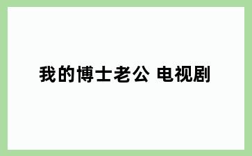 我的博士老公 电视剧