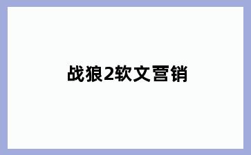 战狼2软文营销
