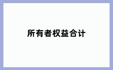 所有者权益合计