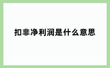 扣非净利润是什么意思