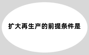 扩大再生产的前提条件是